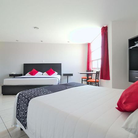 Hotel Euro Confort,Pachuca Exterior foto